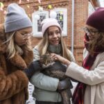 Tierheimsponsoring statt Tiergeschenke