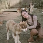 Tierheimsponsoring für Langzeitbewohner – ein stiller Beitrag zur Lebensqualität