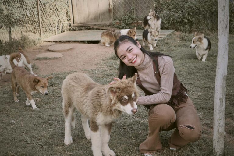 Tierheimsponsoring für Langzeitbewohner – ein stiller Beitrag zur Lebensqualität