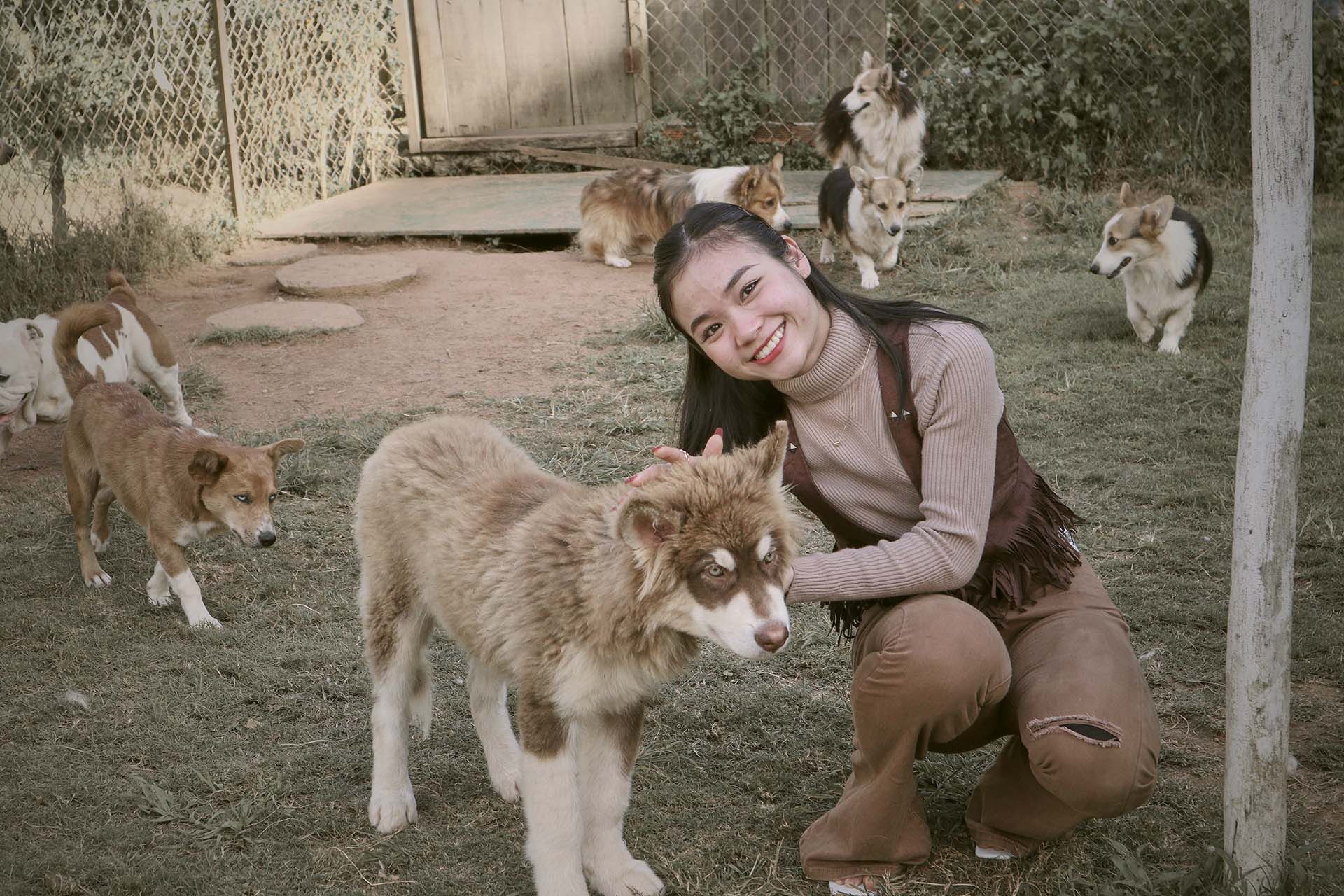 Tierheimsponsoring für Langzeitbewohner – ein stiller Beitrag zur Lebensqualität